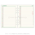 Raymay - 2026 Da Vinci Monthly Planner Refill - A5 Size - 2 (List Style)